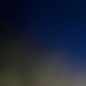 Meet your Posher, Chase